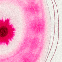 God’s Eye 116