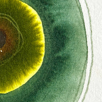 God’s Eye 128