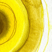 God’s Eye 130