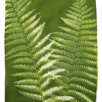 Ostrich Fern - Fine Art Print