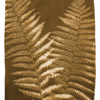 Ostrich Fern - Fine Art Print