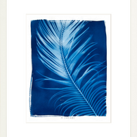 Marshall - Fine Art Print