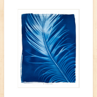 Marshall - Fine Art Print