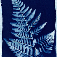 A Thousand Reminders