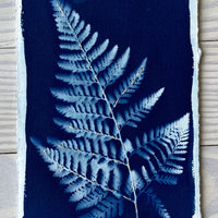 A Thousand Reminders