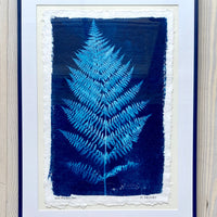 Wild Mountain Fern 1