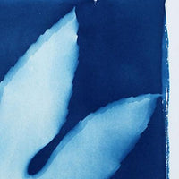 Breeze - Michelle Owenby Design