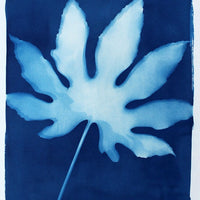 Breeze - Michelle Owenby Design