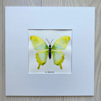 Butterfly Painting No. 5