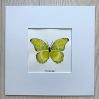 Butterfly Painting No. 21