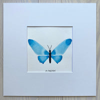 Butterfly Painting No. 6