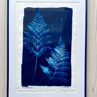 Wild Mountain Fern 2