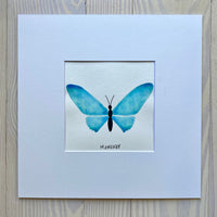 Butterfly Painting No. 19