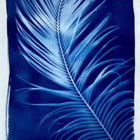 Marshall - Michelle Owenby Design
