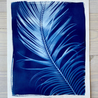 Marshall - Michelle Owenby Design