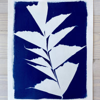 Pettigrew 1 - Michelle Owenby Design