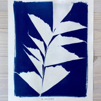 Pettigrew 2 - Michelle Owenby Design