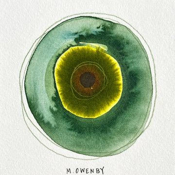 God’s Eye 128