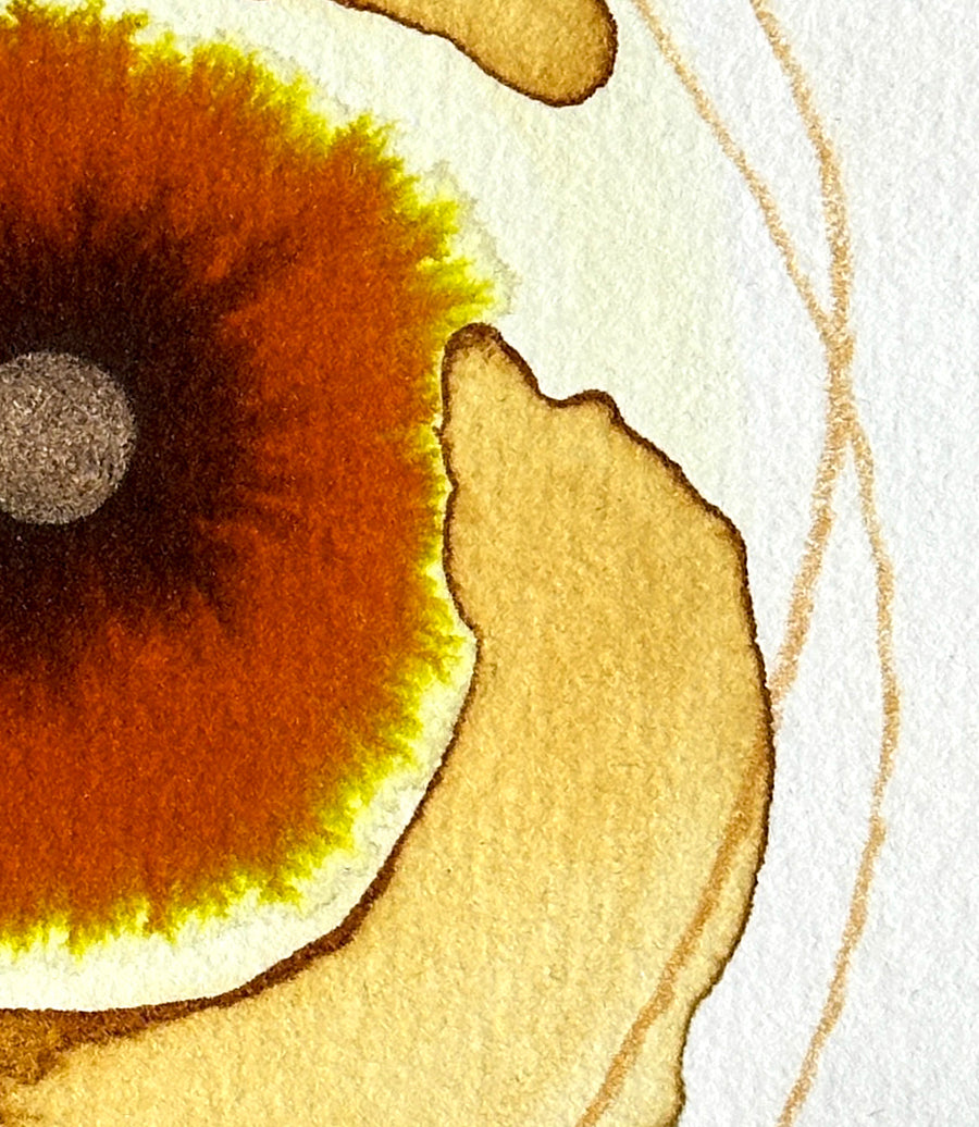 God’s Eye 131