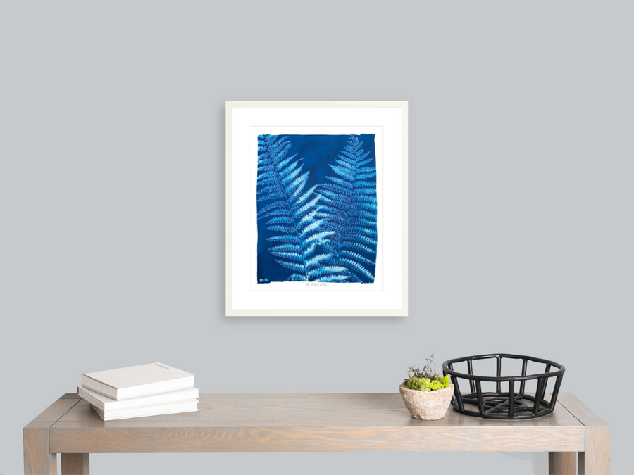 Ostrich Fern - Fine Art Print