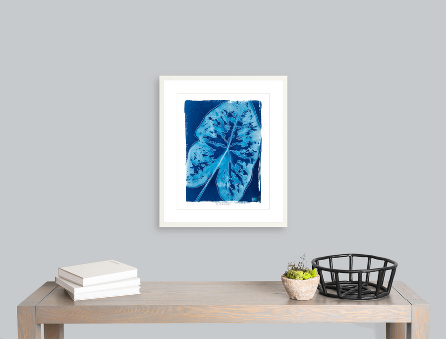 Caladium - Fine Art Print