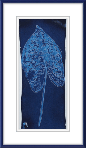 Caladium 5 - Offered Exclusively by the Charleston Artist Collective