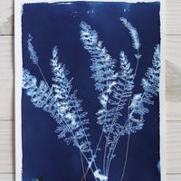 Fernleaf Yarrow - Offered Exclusively by Charleston Artist Collective