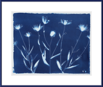 Shasta Daisies - Offered Exclusively by Charleston Artist Collective