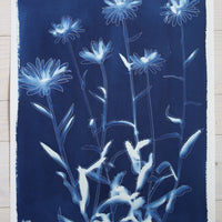 Shasta Daisies - Offered Exclusively by the Charleston Artist Collective
