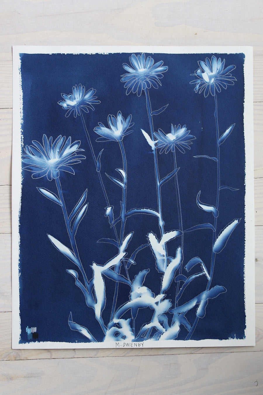 Shasta Daisies - Offered Exclusively by the Charleston Artist Collective